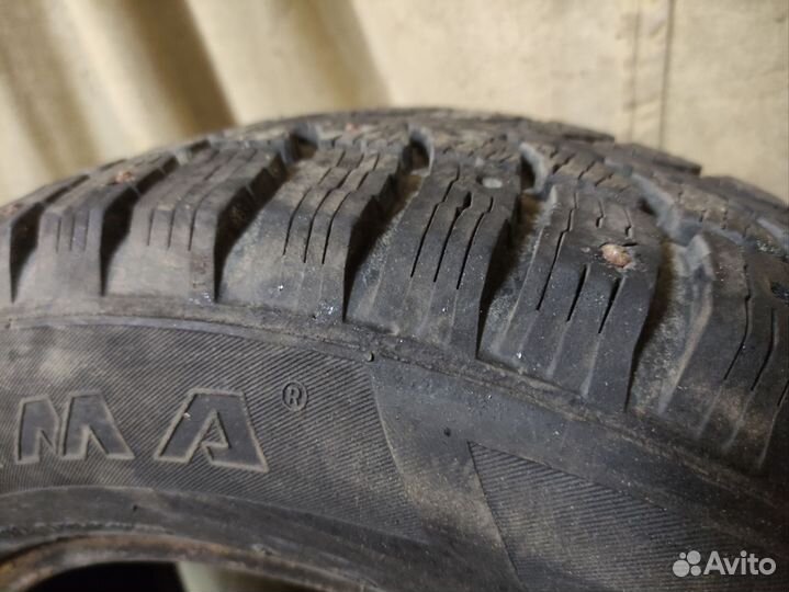 КАМА 505 Irbis 195/65 R15