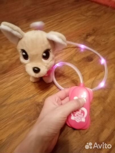 Собачка чичилав