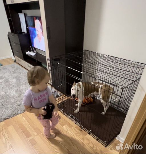 Клетка вольер для большой собаки бу