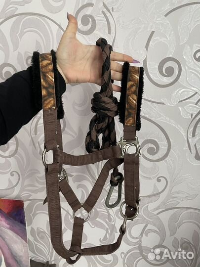 Недоуздок для лошади