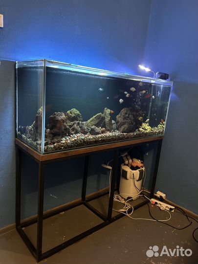 Аквариум на 400 литров