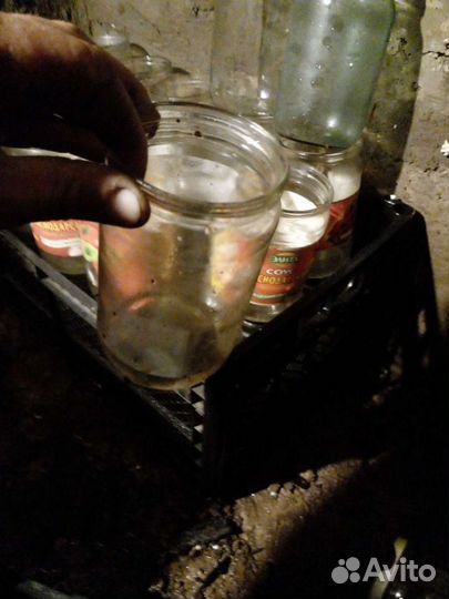 Банка 0.5; 0.7; 1 литровые