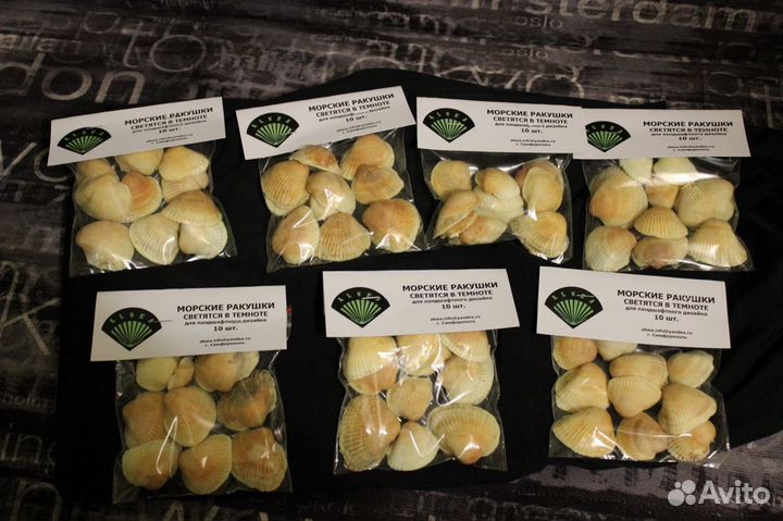 Ракушка скафарка светится в темноте