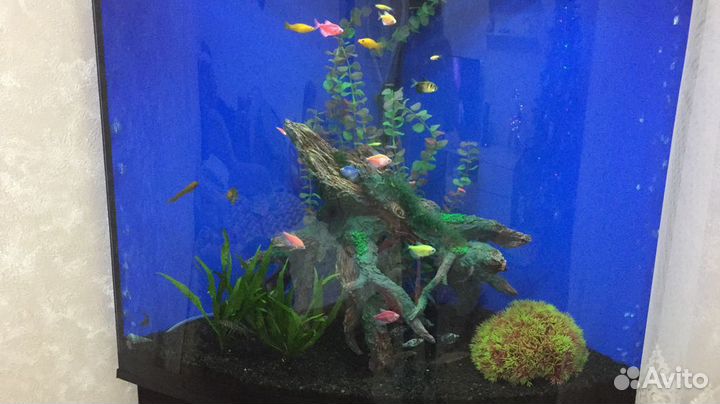 Аквариум с тумбой