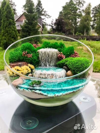 Флорариумы, моссариумы, суккуленты