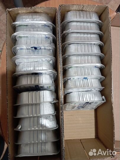 Влажный корм д/кошек Monge VetSolution Dermatosis