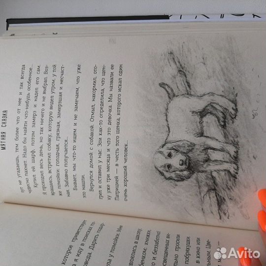 Книга мятная сказка