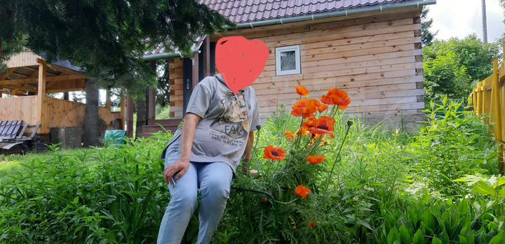 Дача 40 м² на участке 15 сот.