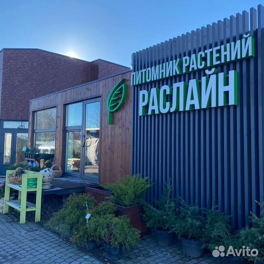 Продавец-консультант в садовый центр