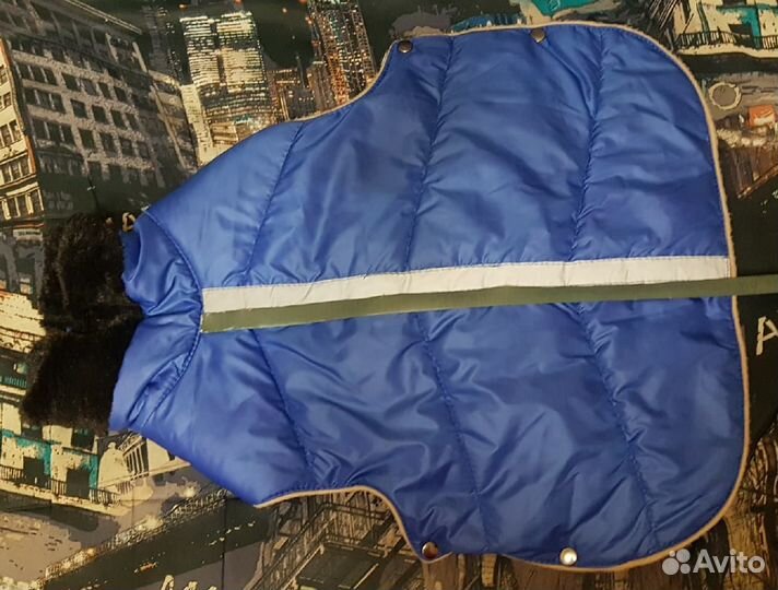 Комбинезоны Попона Намордники Ошейники-удавки