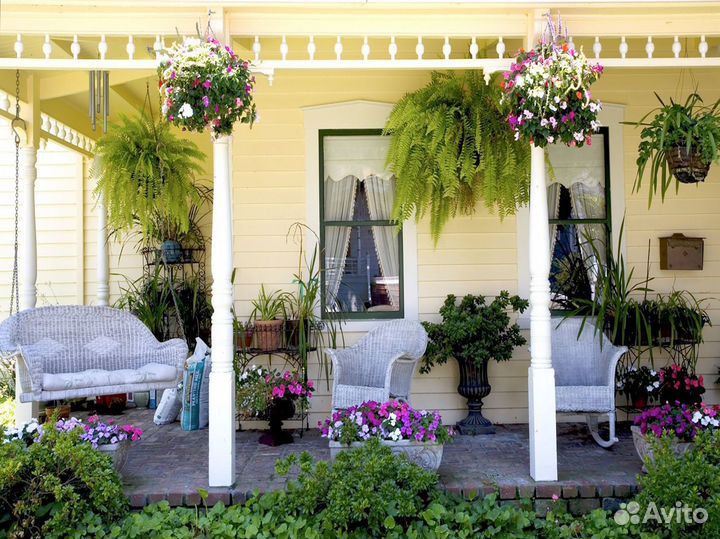 Озеленение крыш