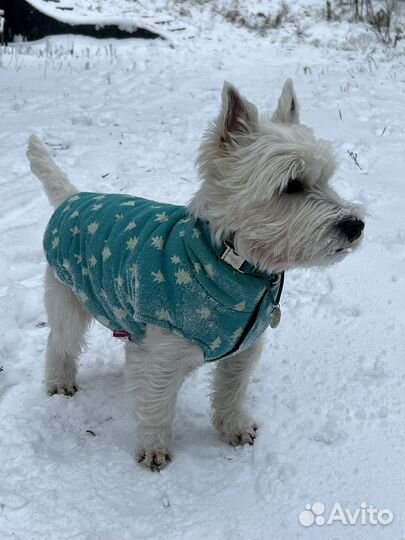 Двусторонняя куртка жилет для собак