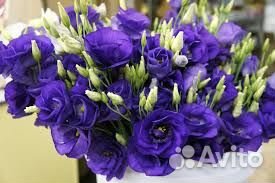 Продавец кассир/ночь/цветочный магазин