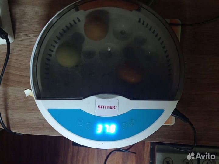 Инкубатор для яиц