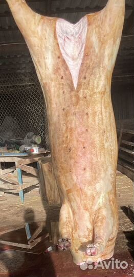 Свинина домашняя