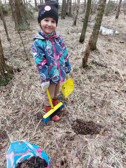 Лосиный помет (навоз)