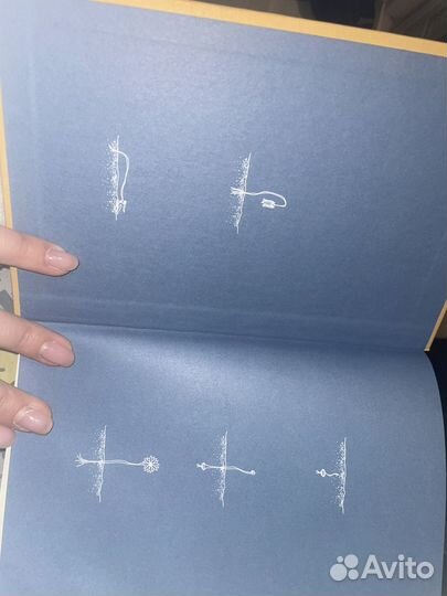 Рупи Каур. Белые стихи