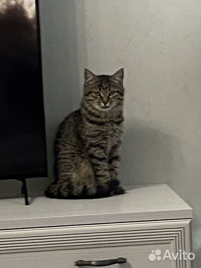 Одежда верхняя