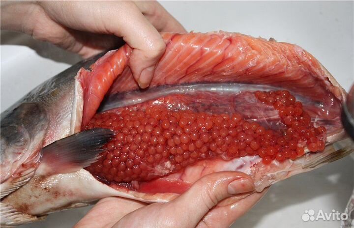 Свежемороженая горбуша