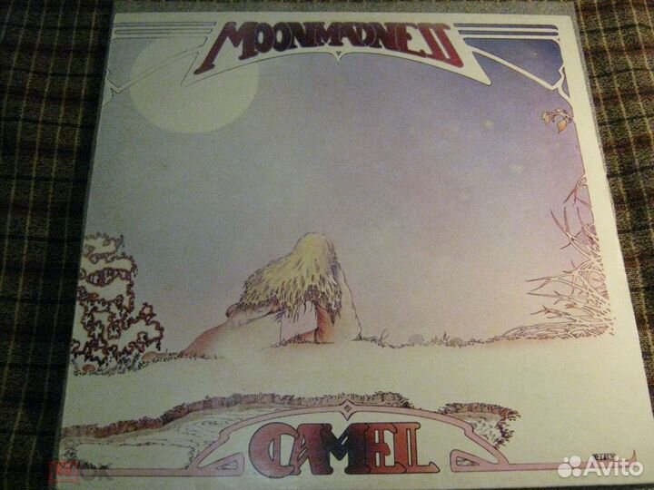 Miles davis-focus-camel-gentle giant