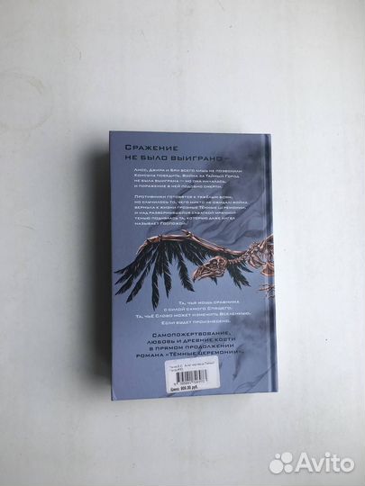 Вадим Панов: Ангел мертвеца. Тайный город