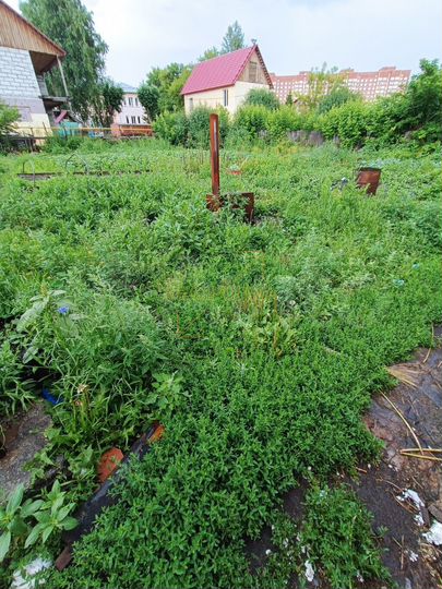 Продам помещение свободного назначения, 60 м²