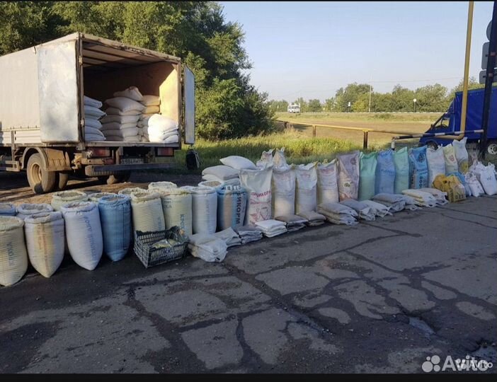 Зерносмеси, зерно: пшеница кукуруза просо, ячмень