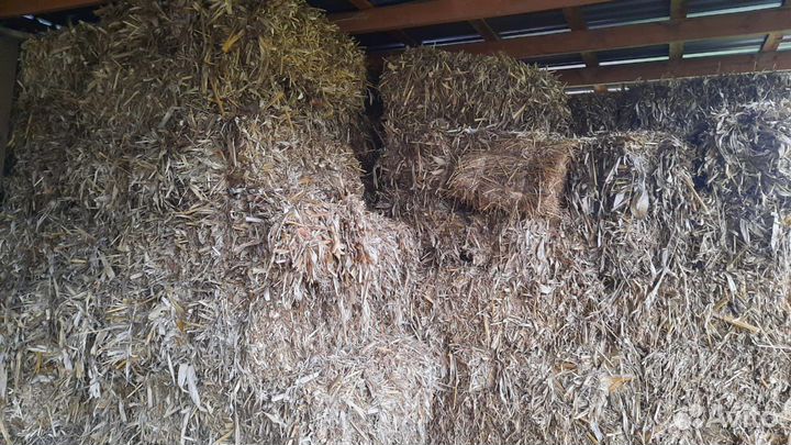 Сено в квадратных тюках