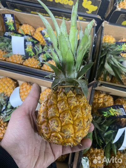 Мини Ананас 10штук