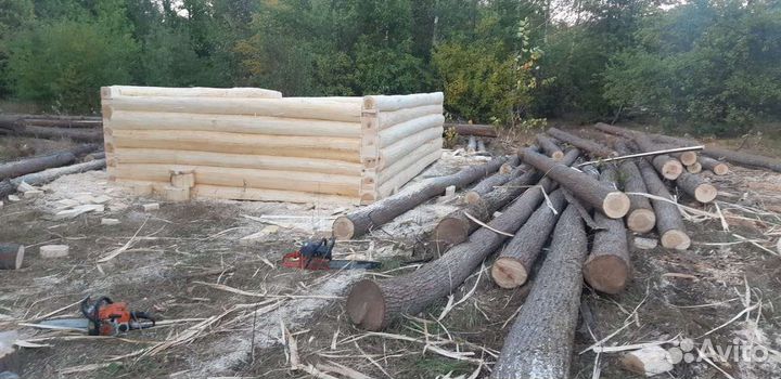 Сруб бани из липы