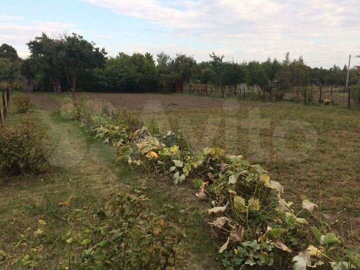 Дача 20 м² на участке 10 сот.