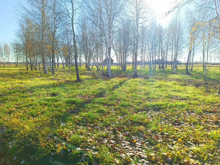 Участок 7,2 сот. (ИЖС)