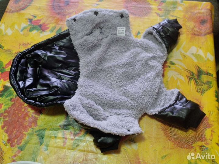 Одежда для маленьких собак