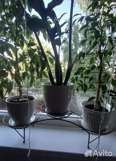 Подставка для цветов