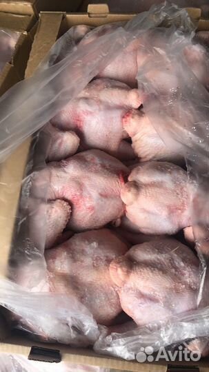 Курица,куры,тушка цыплёнка-бройлера 1го сорта,опто