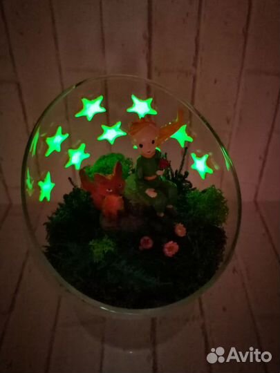 Флорариум моссариум подарок Маленький принц