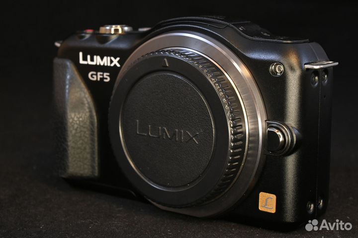 Panasonic GF5 body пробег