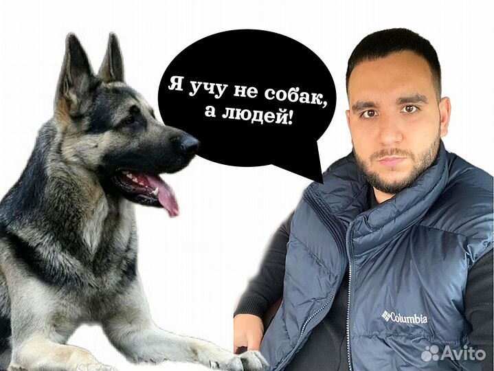 Не кинолог / Специалист по поведению собак