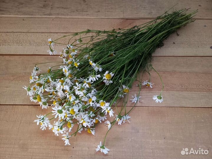 Веники для бани