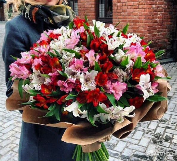 Тюльпаны 25 51 101 Тюльпан