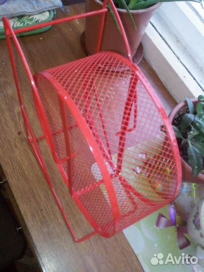 Колесо для крыс