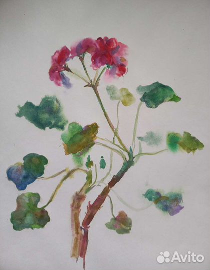 Акварель 