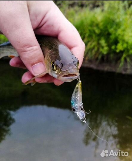 DUO Tetra Works Toto Fat 35S (10 расцветок)