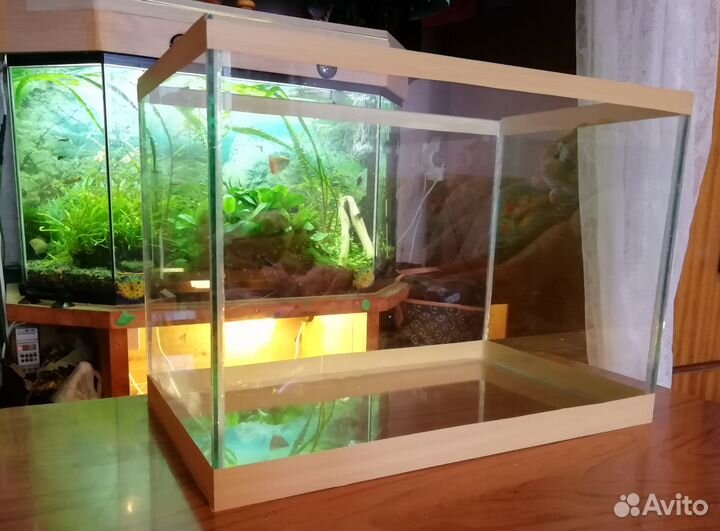 Аквариум