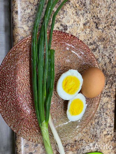 Домашние куриные яйца