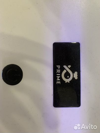 Аквариум pride