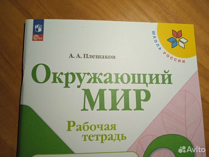 Рабочая тетрадь Окружающий мир плешаков 3 класс