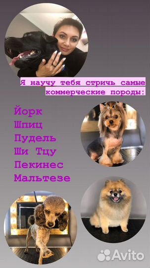 Груминг обучение