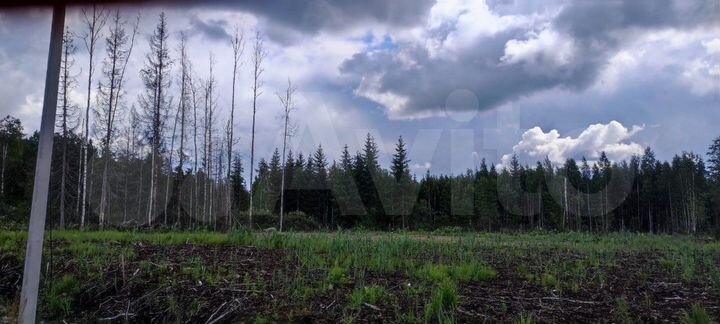 Участок 12 сот. (СНТ, ДНП)