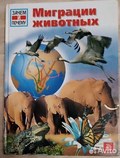 Познавательные книги для детей